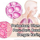 Illustration for article titled Jenis Penyakit Paru Paru Dan Gejalanyaem/em